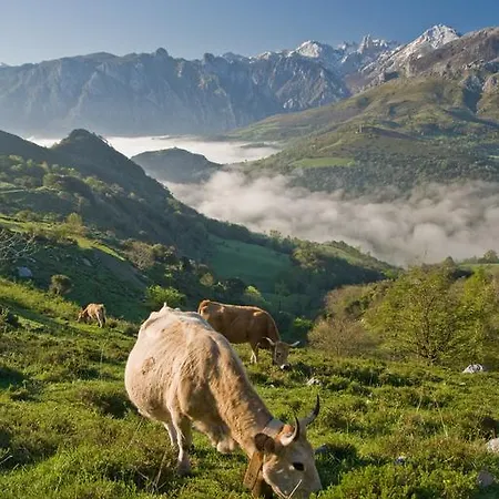 Al Rincon De Emi Daire